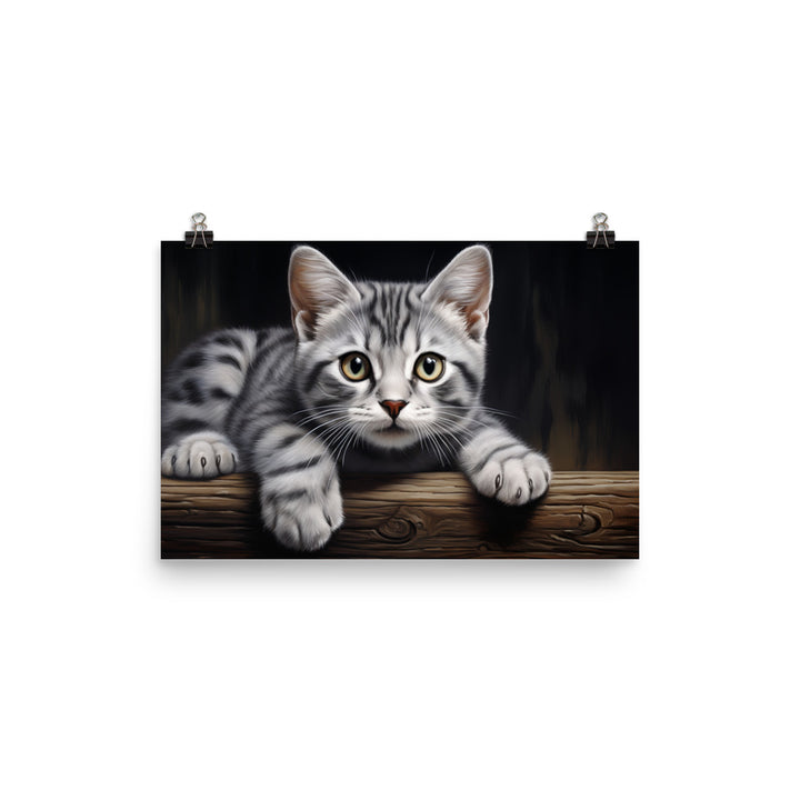 American Shorthair Photo paper poster - PosterfyAI.com