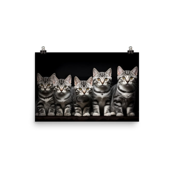 American Shorthair Photo paper poster - PosterfyAI.com