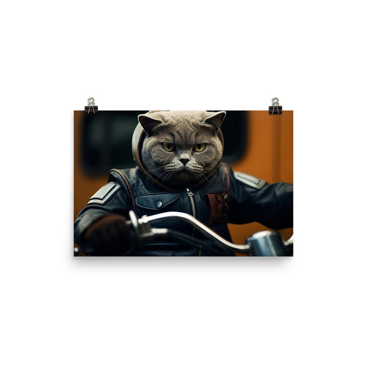 British Shorthair Superbike Athlete Photo paper poster - PosterfyAI.com