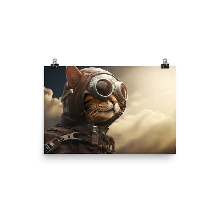 Abyssinian Pilot Photo paper poster - PosterfyAI.com