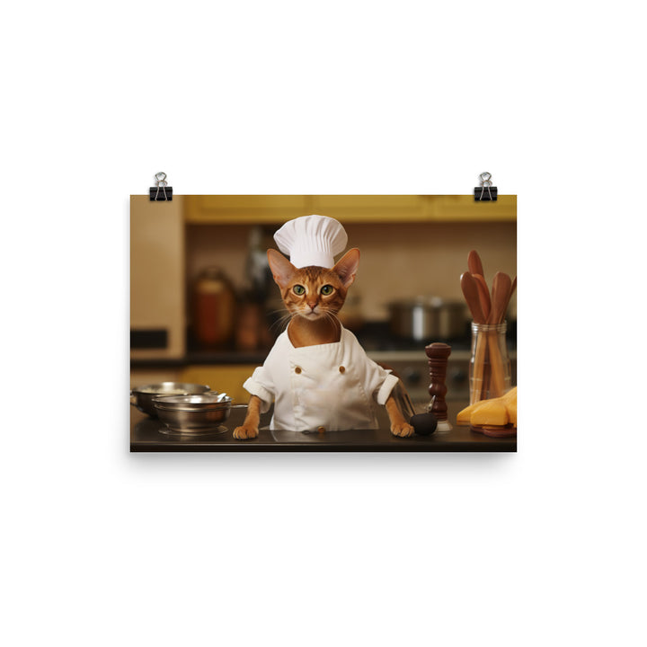 Abyssinian Chef Photo paper poster - PosterfyAI.com