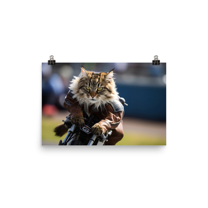 Maine Coon Superbike Athlete Photo paper poster - PosterfyAI.com