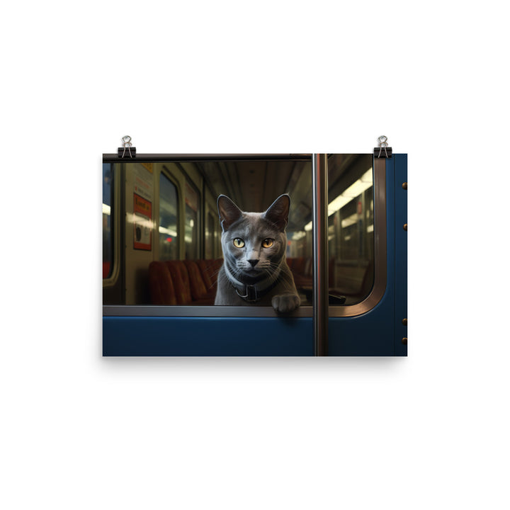 Russian Blue Transit Operator Photo paper poster - PosterfyAI.com