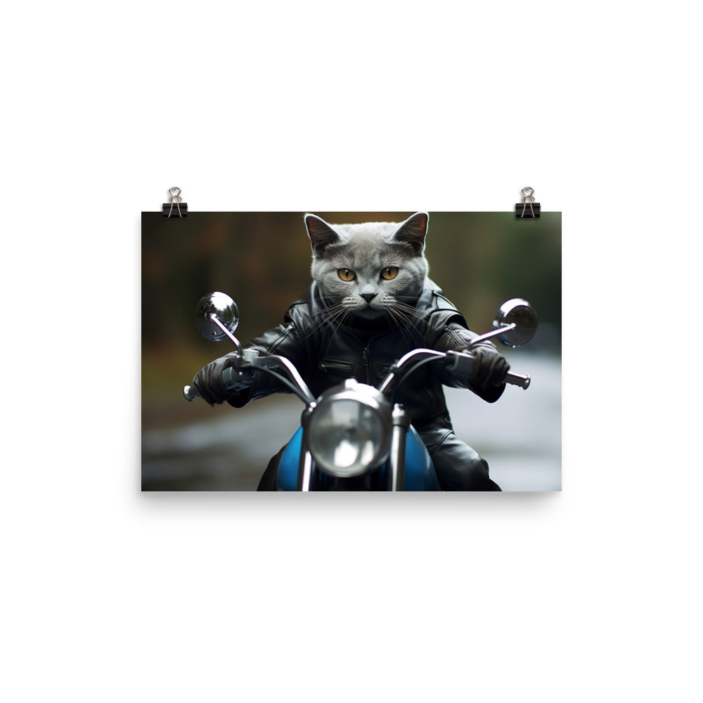 Russian Blue Superbike Athlete Photo paper poster - PosterfyAI.com