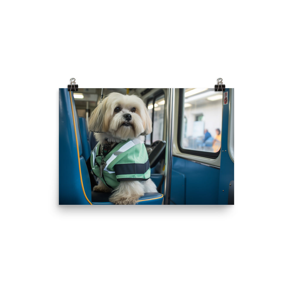 Lhasa Apso Transit Operator Photo paper poster - PosterfyAI.com