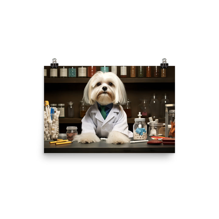 Lhasa Apso Pharmacist Photo paper poster - PosterfyAI.com