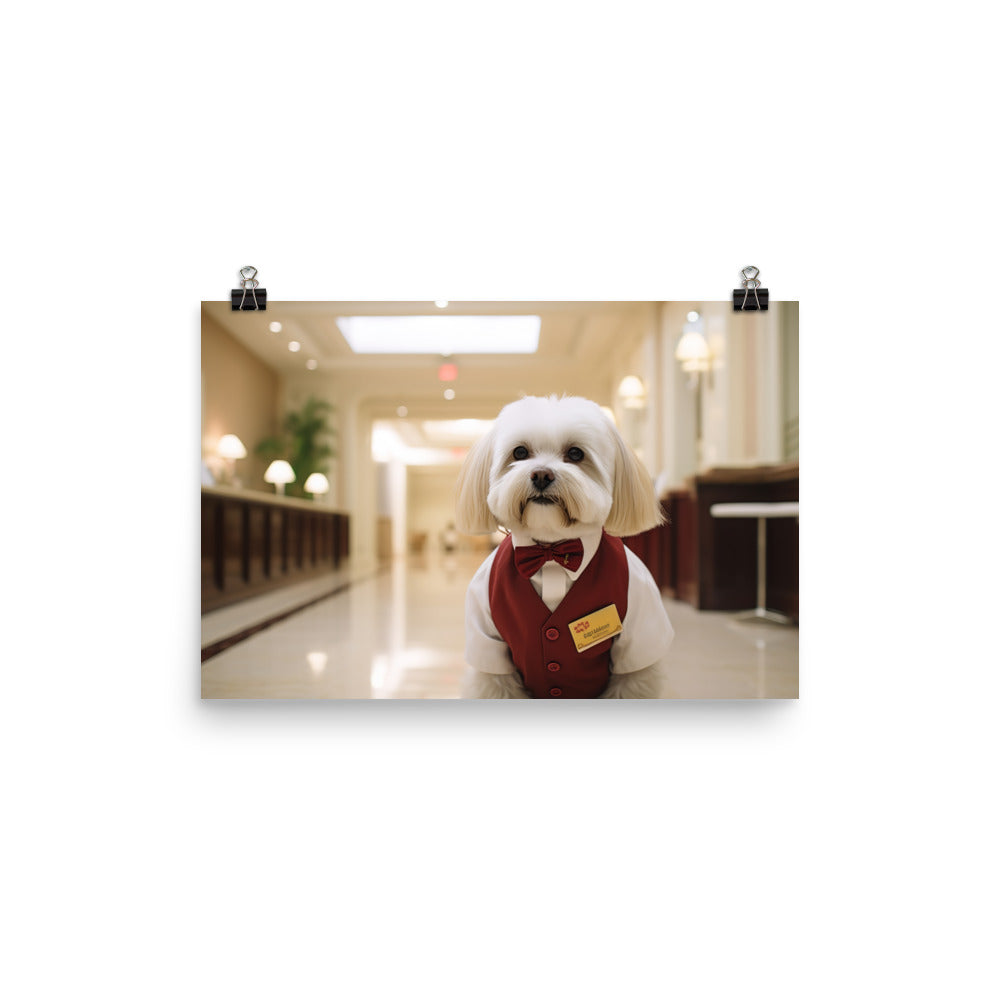 Lhasa Apso Hotel Staff Photo paper poster - PosterfyAI.com