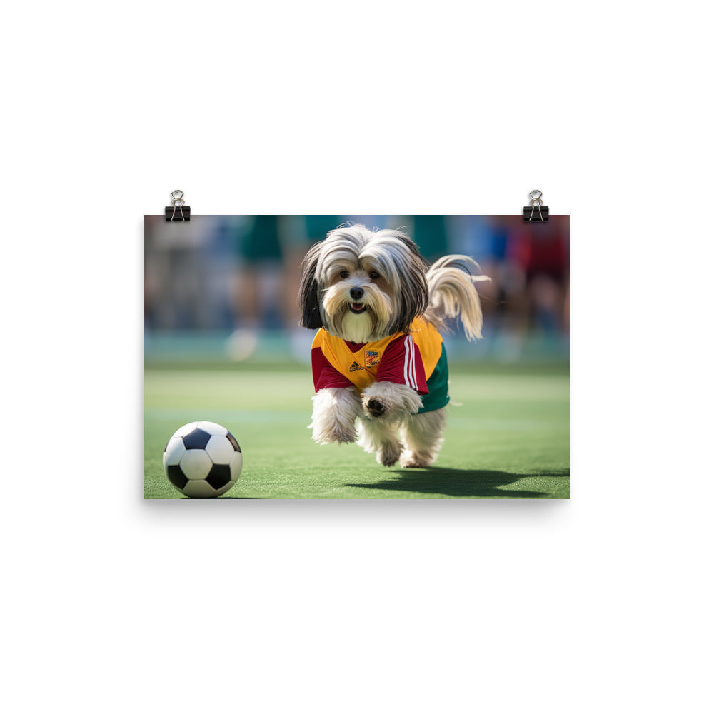 Lhasa Apso Football Player Photo paper poster - PosterfyAI.com