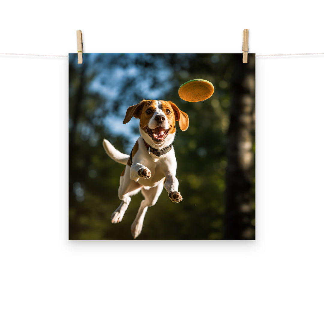 Beagle Photo paper poster - PosterfyAI.com