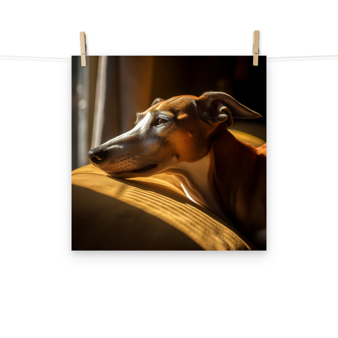 Greyhound Photo paper poster - PosterfyAI.com