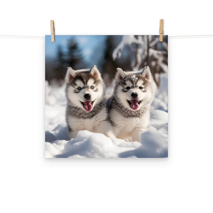 Alaskan Malamute Photo paper poster - PosterfyAI.com