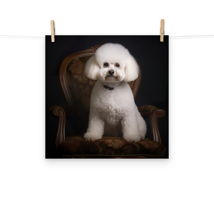 Bichon Frise Photo paper poster - PosterfyAI.com