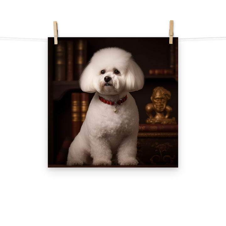 Bichon Frise Photo paper poster - PosterfyAI.com