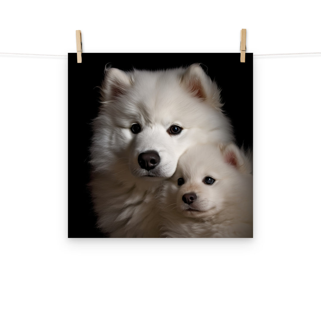 Samoyed Photo paper poster - PosterfyAI.com