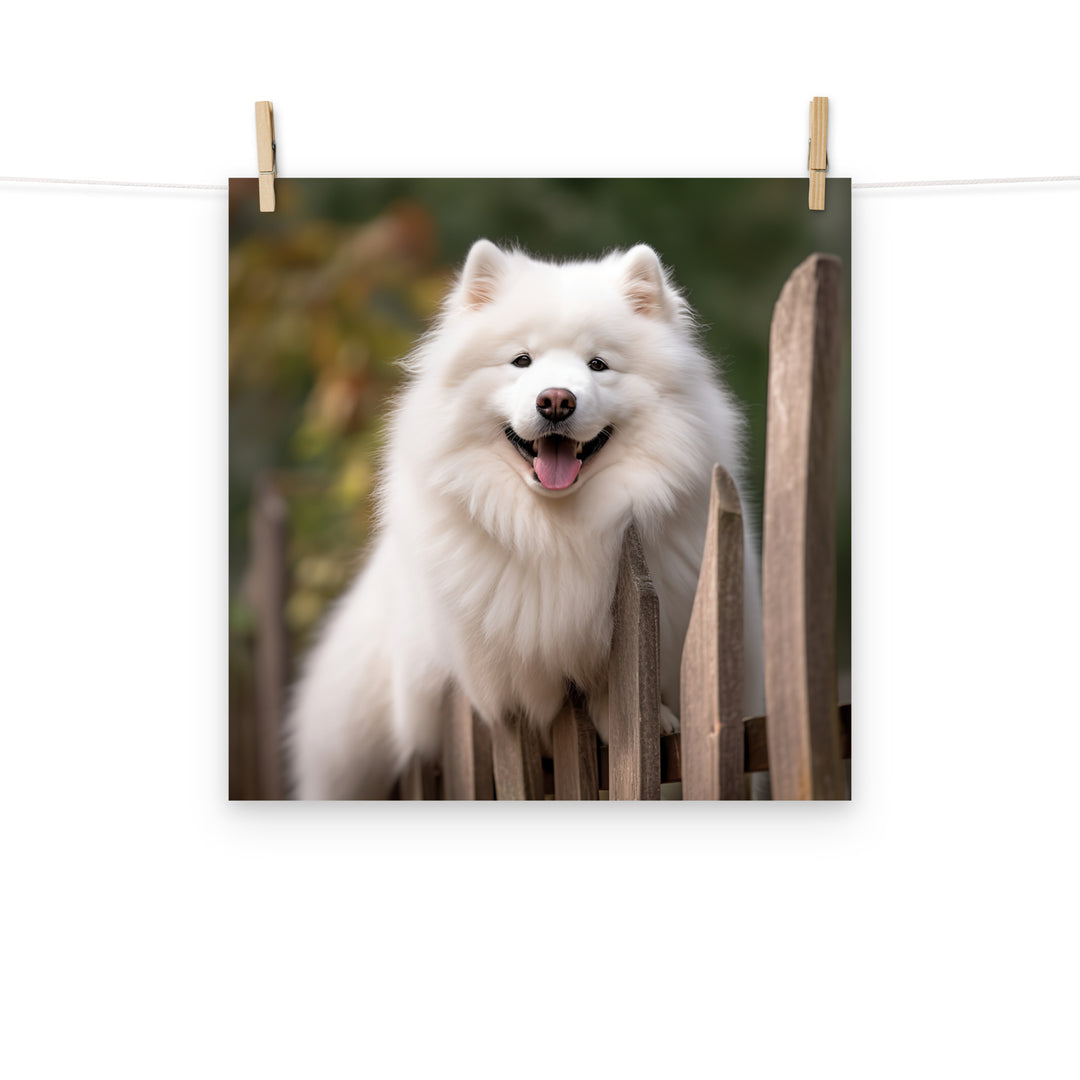 Samoyed Photo paper poster - PosterfyAI.com