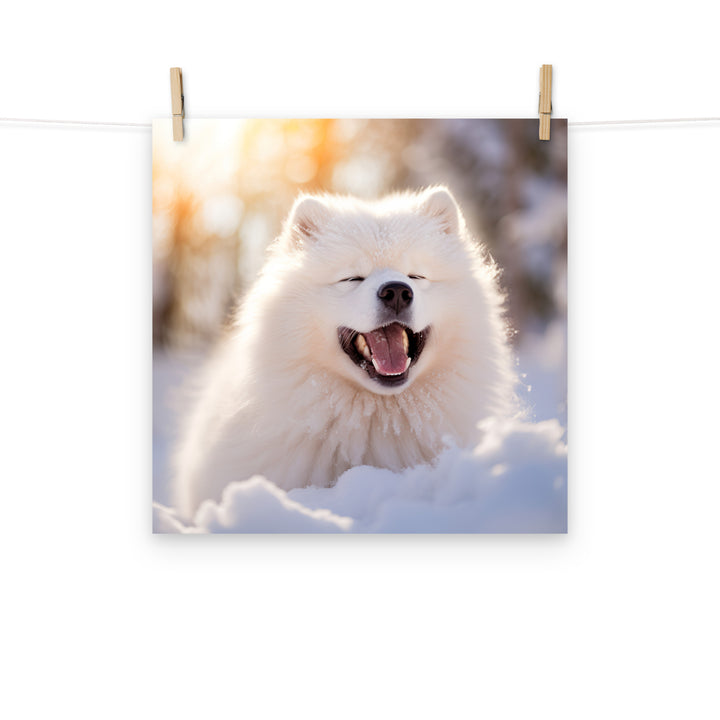 Samoyed Photo paper poster - PosterfyAI.com