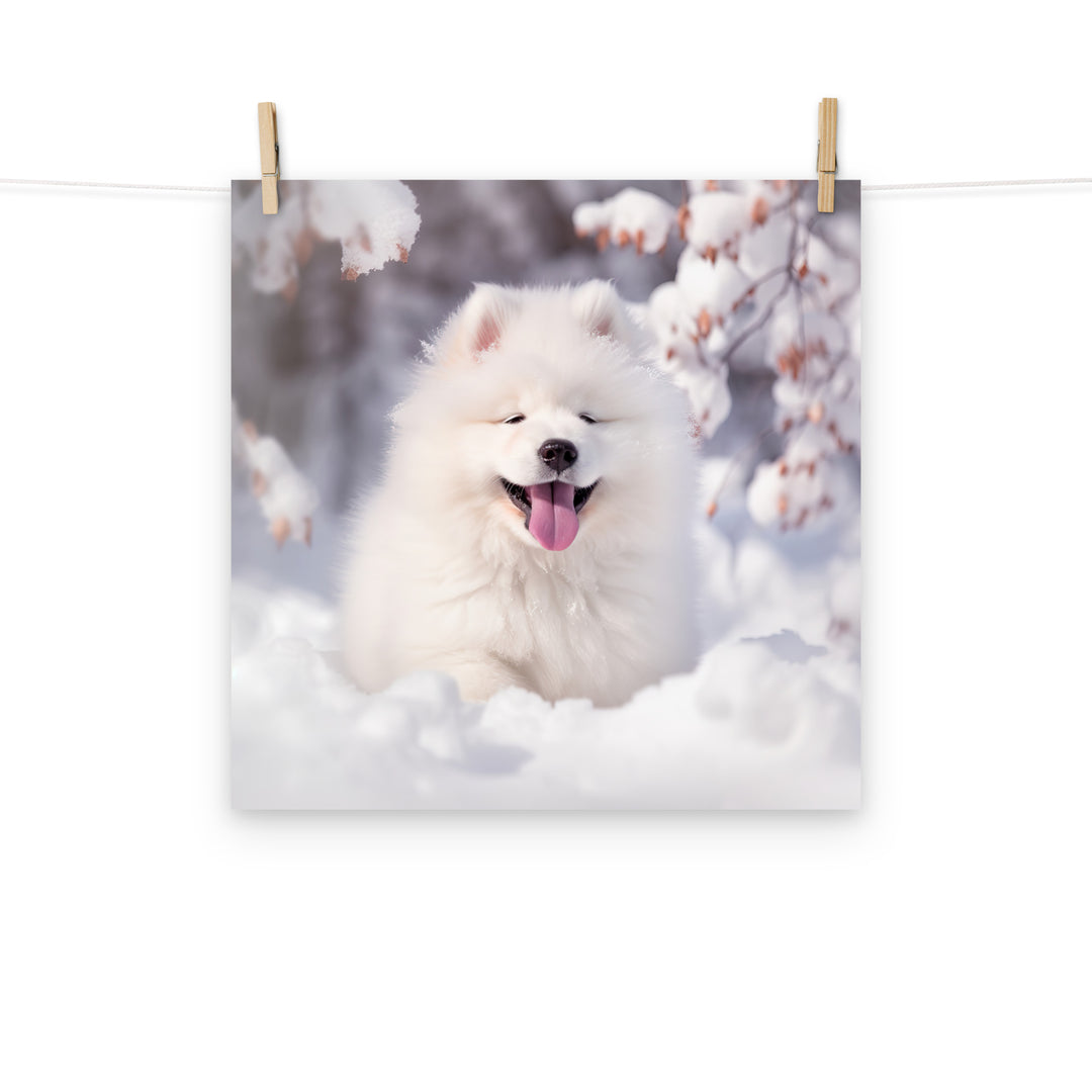 Samoyed Photo paper poster - PosterfyAI.com