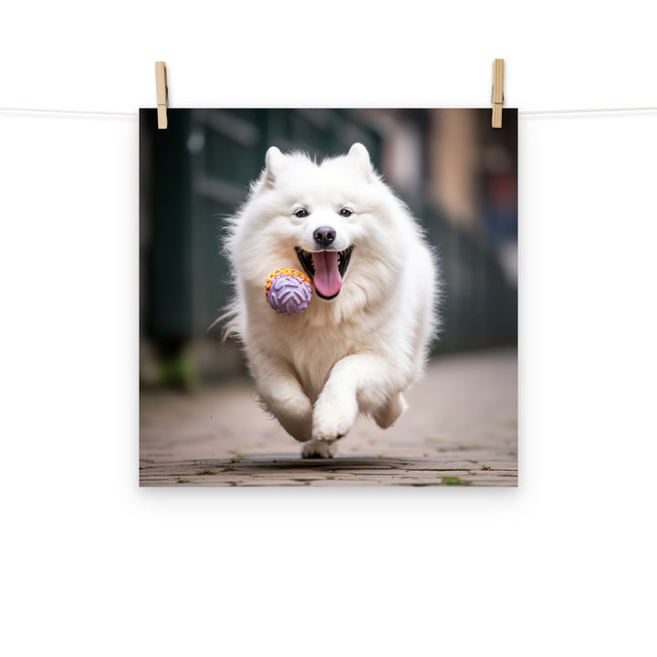 Samoyed Photo paper poster - PosterfyAI.com