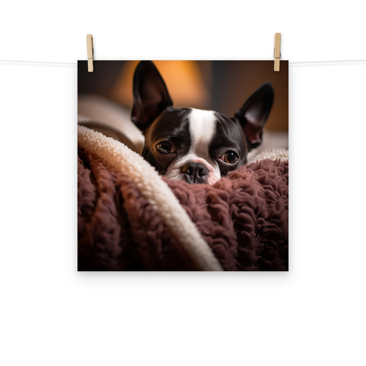 Boston Terrier Photo paper poster - PosterfyAI.com