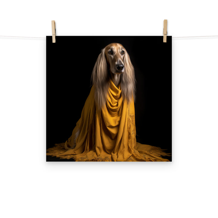 Afghan Hound Photo paper poster - PosterfyAI.com