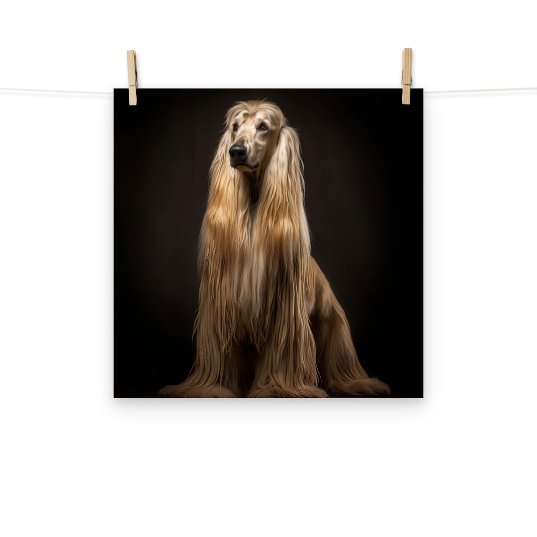 Afghan Hound Photo paper poster - PosterfyAI.com