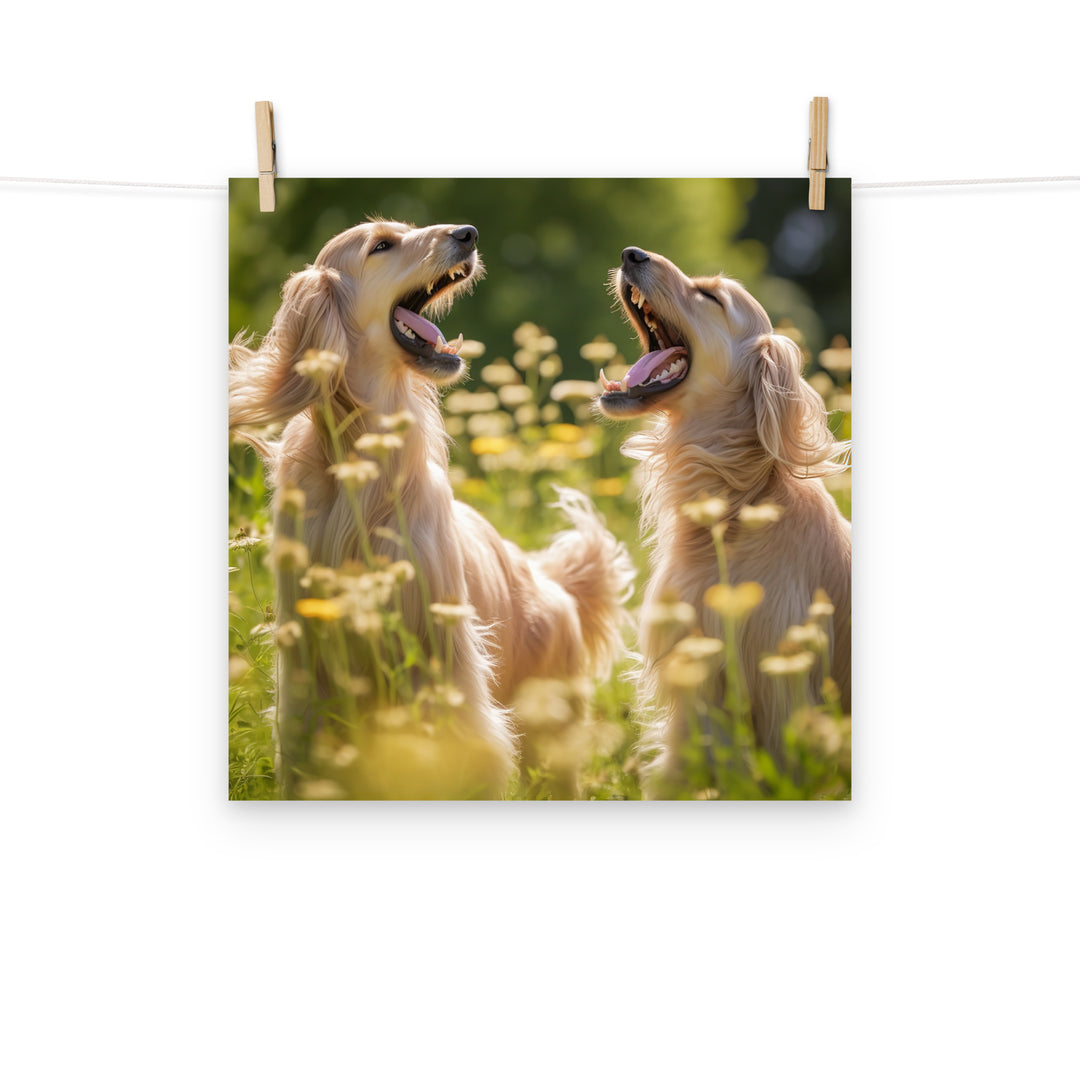 Afghan Hound Photo paper poster - PosterfyAI.com