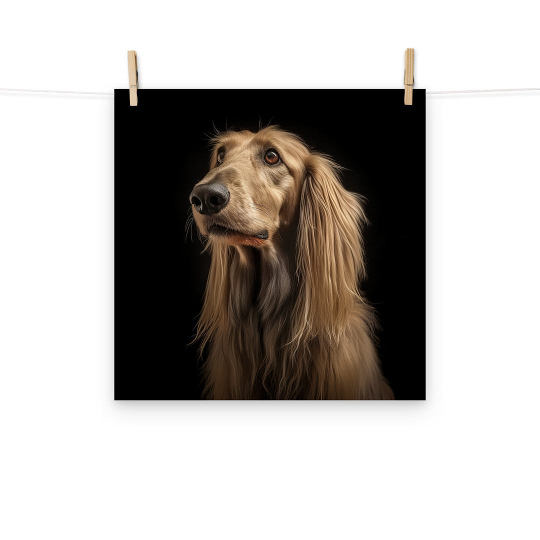 Afghan Hound Photo paper poster - PosterfyAI.com