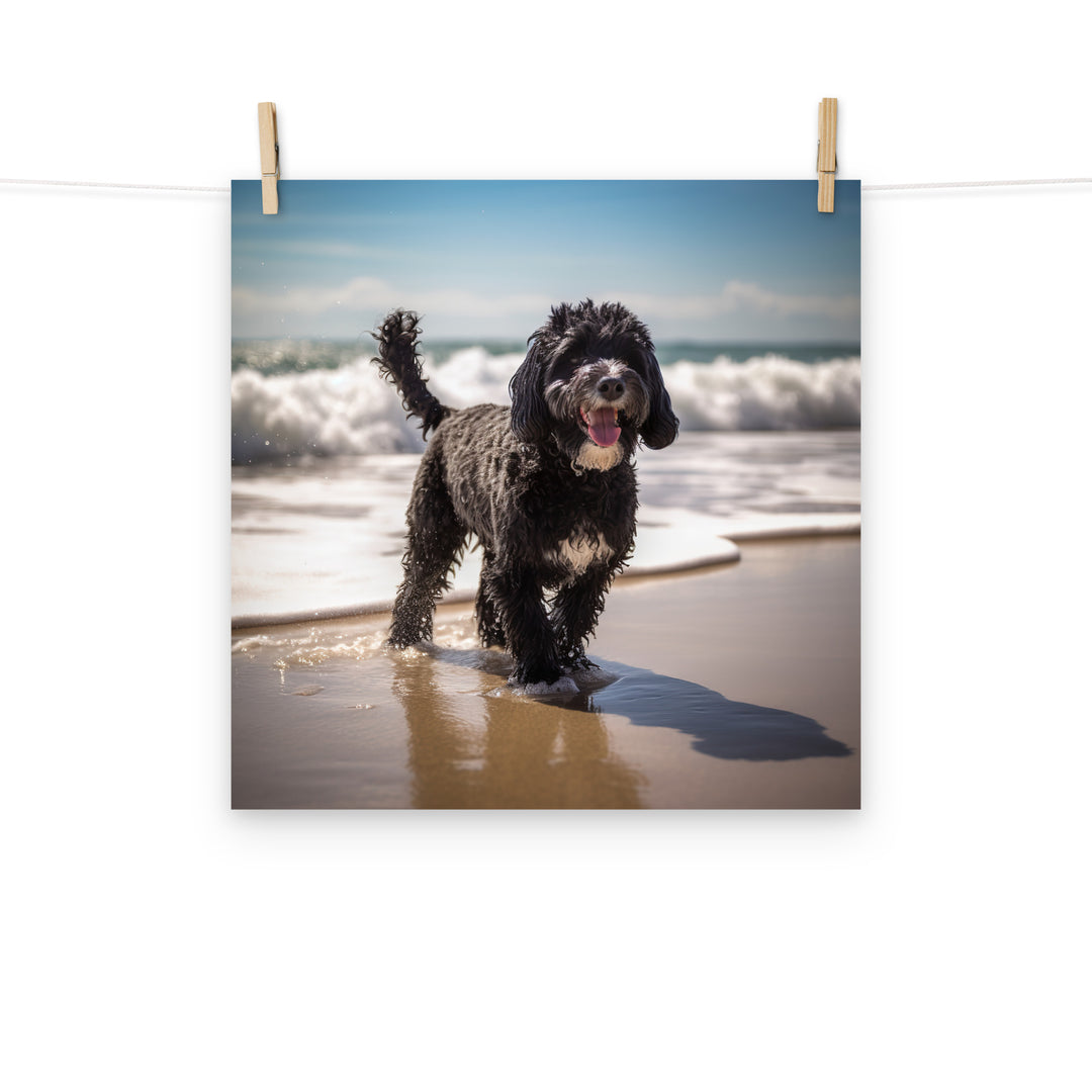 Portuguese Water Dog Photo paper poster - PosterfyAI.com