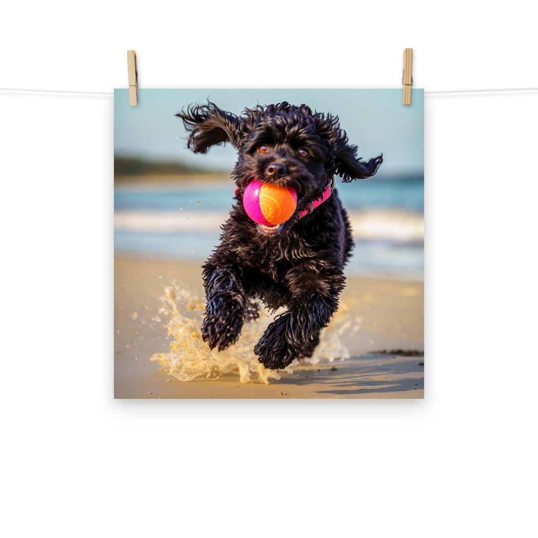 Portuguese Water Dog Photo paper poster - PosterfyAI.com