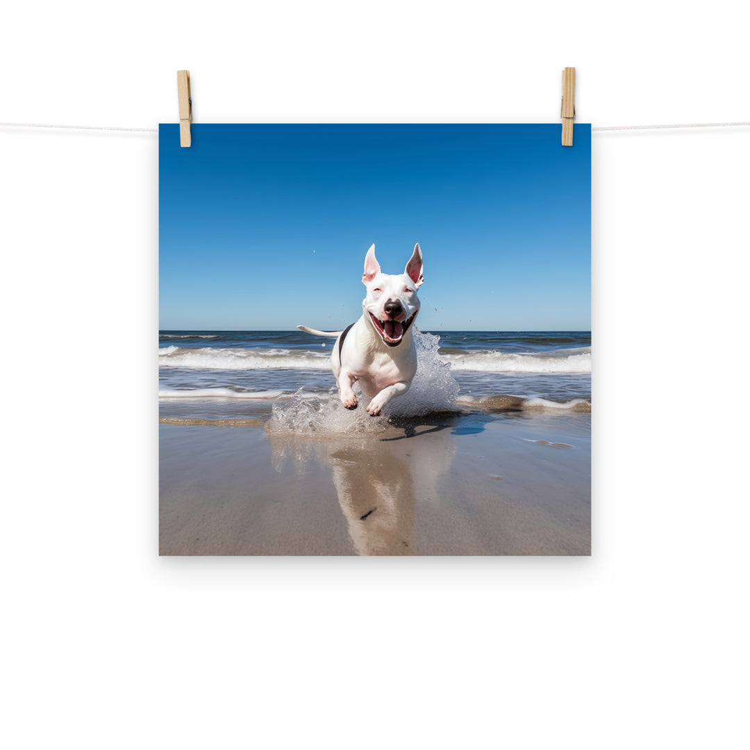 Bull Terrier Photo paper poster - PosterfyAI.com