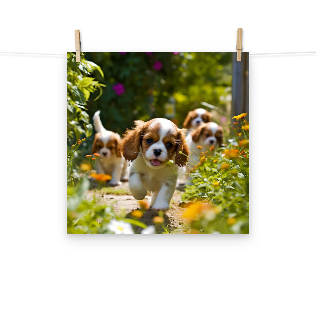 Cavalier King Charles Photo paper poster - PosterfyAI.com