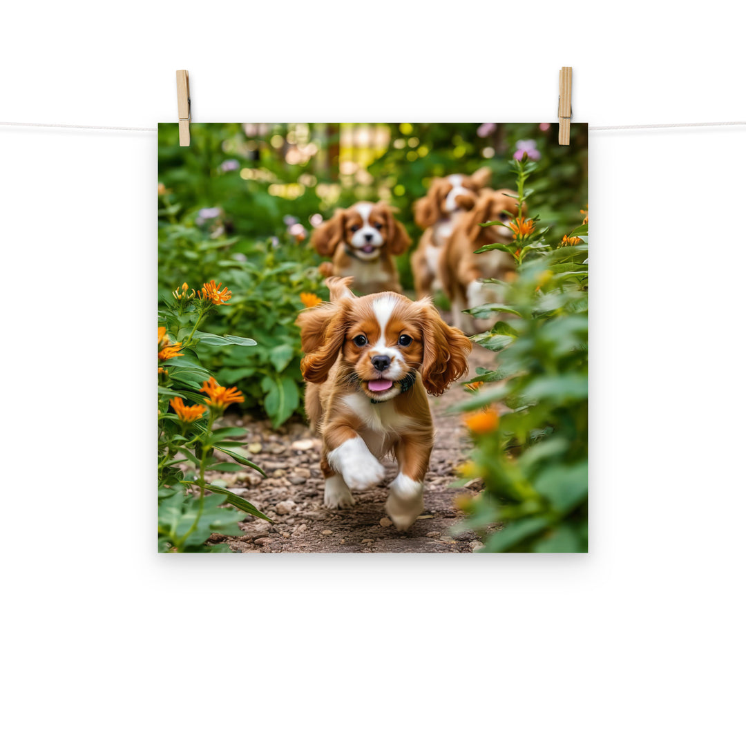 Cavalier King Charles Photo paper poster - PosterfyAI.com