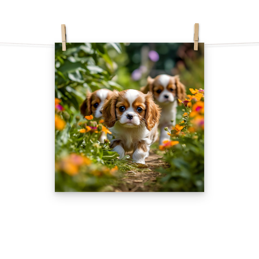 Cavalier King Charles Photo paper poster - PosterfyAI.com