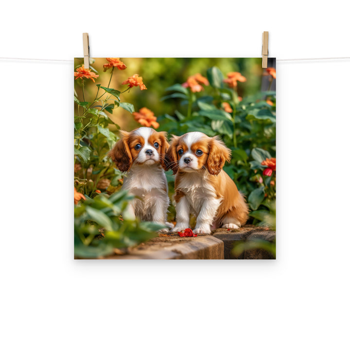 Cavalier King Charles Photo paper poster - PosterfyAI.com