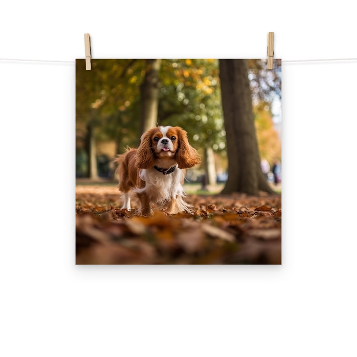 Cavalier King Charles Photo paper poster - PosterfyAI.com