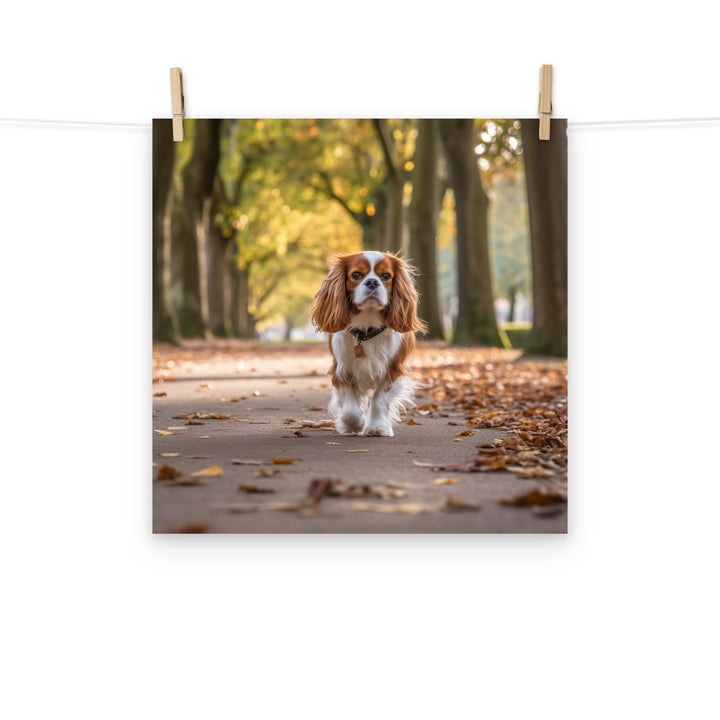 Cavalier King Charles Photo paper poster - PosterfyAI.com