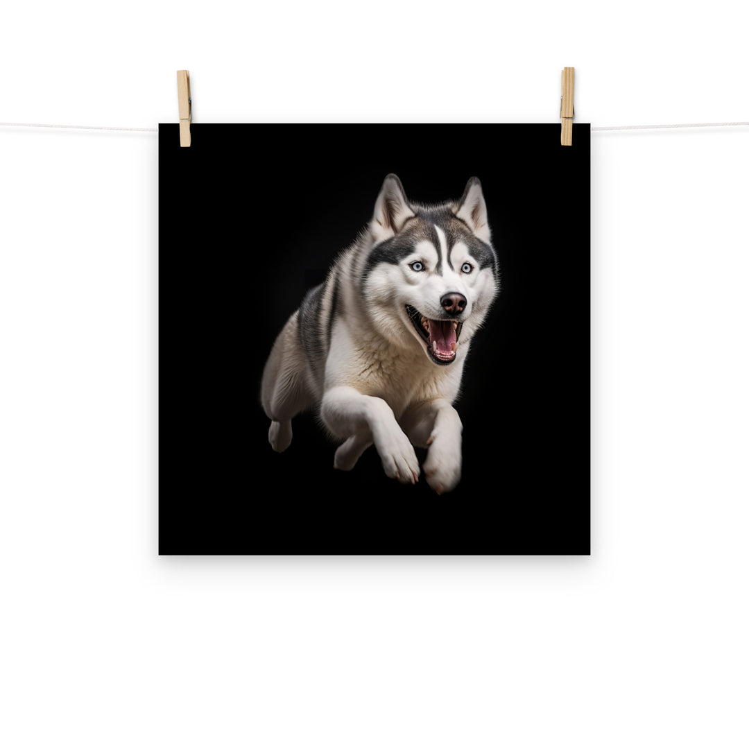 Siberian Husky Photo paper poster - PosterfyAI.com