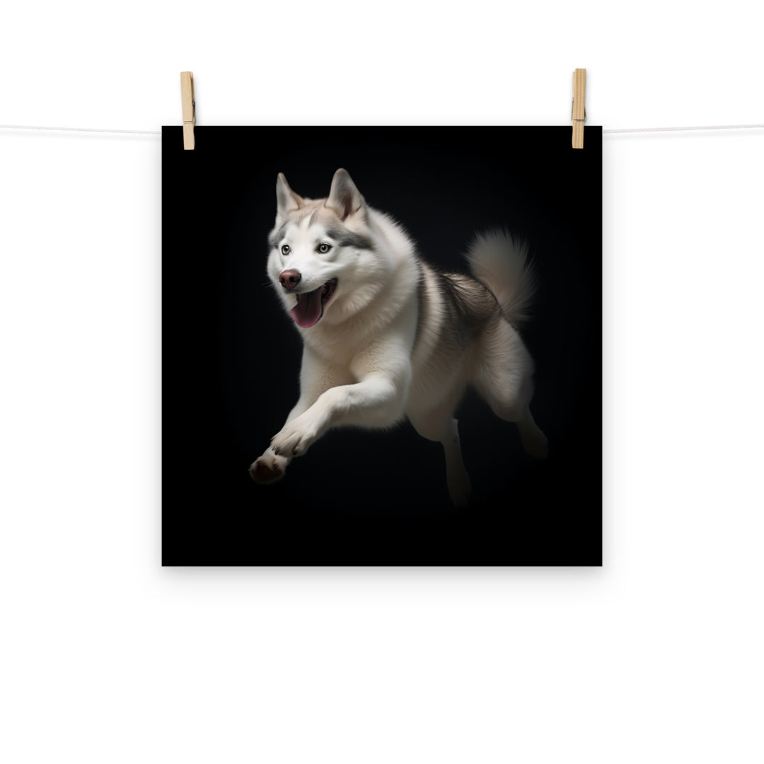 Siberian Husky Photo paper poster - PosterfyAI.com