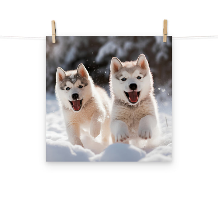 Siberian Husky Photo paper poster - PosterfyAI.com