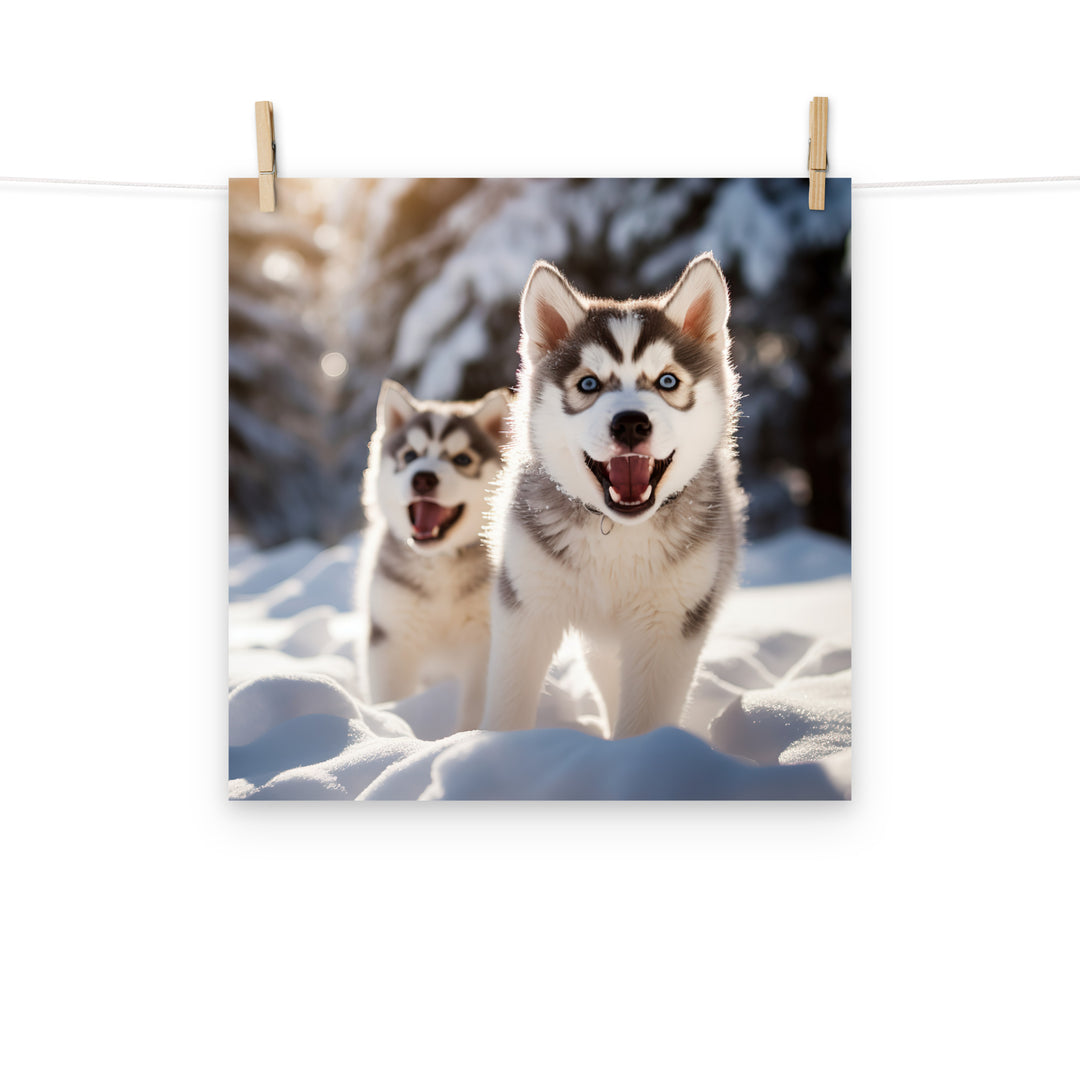 Siberian Husky Photo paper poster - PosterfyAI.com