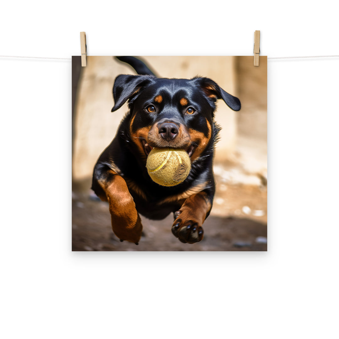 Rottweiler Photo paper poster - PosterfyAI.com