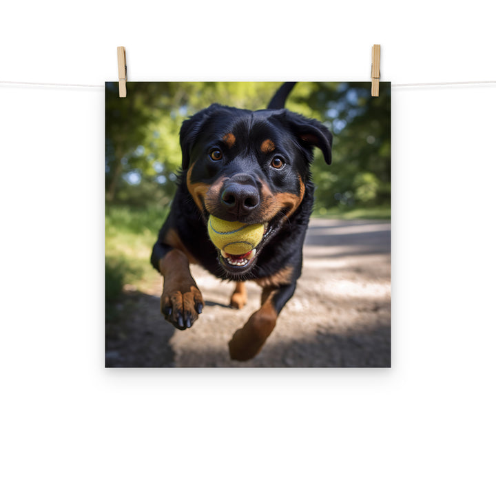 Rottweiler Photo paper poster - PosterfyAI.com