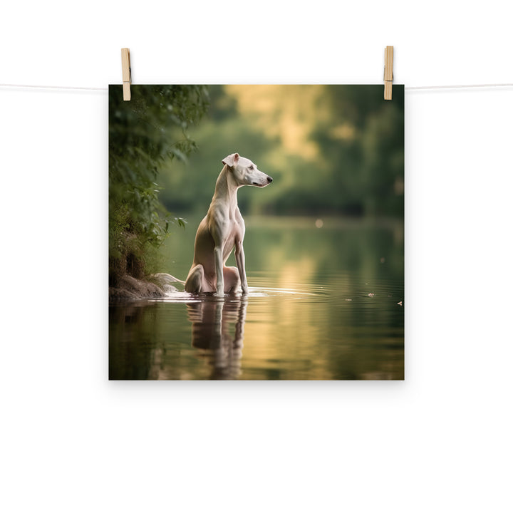 Whippet Photo paper poster - PosterfyAI.com