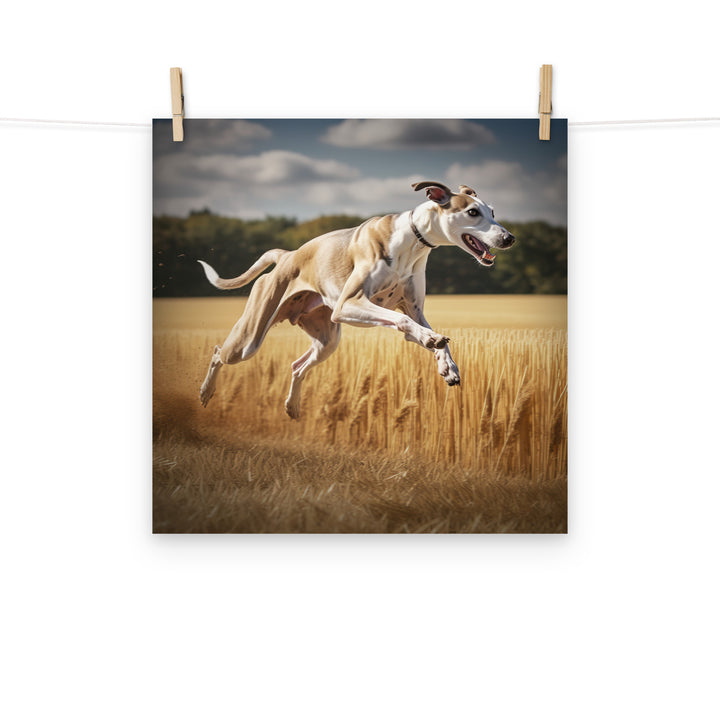 Whippet Photo paper poster - PosterfyAI.com