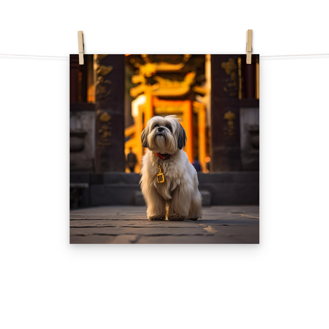 Lhasa Apso Photo paper poster - PosterfyAI.com