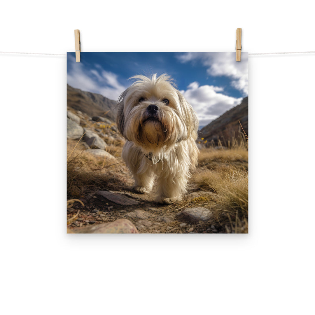 Lhasa Apso Photo paper poster - PosterfyAI.com