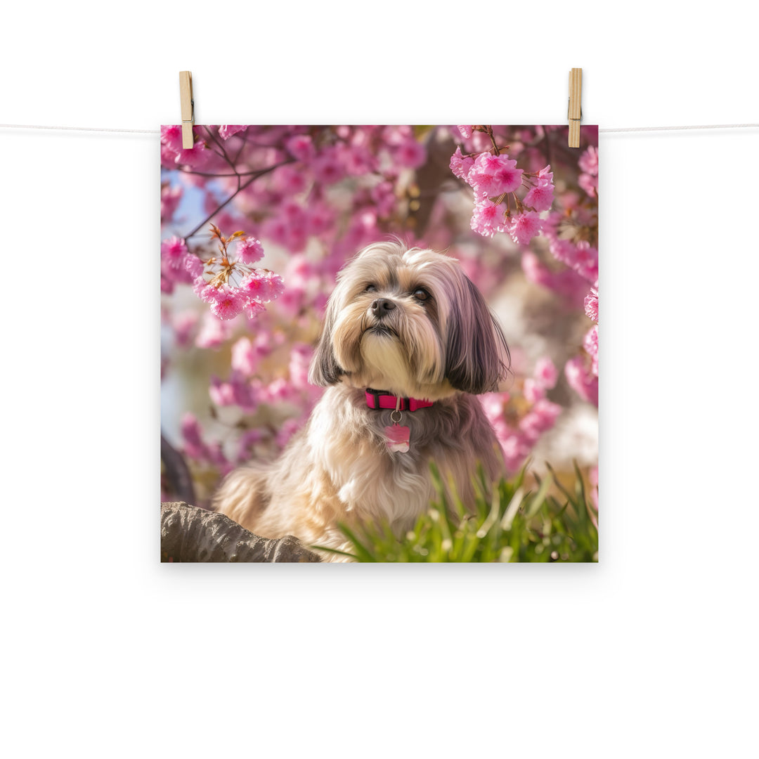 Lhasa Apso Photo paper poster - PosterfyAI.com