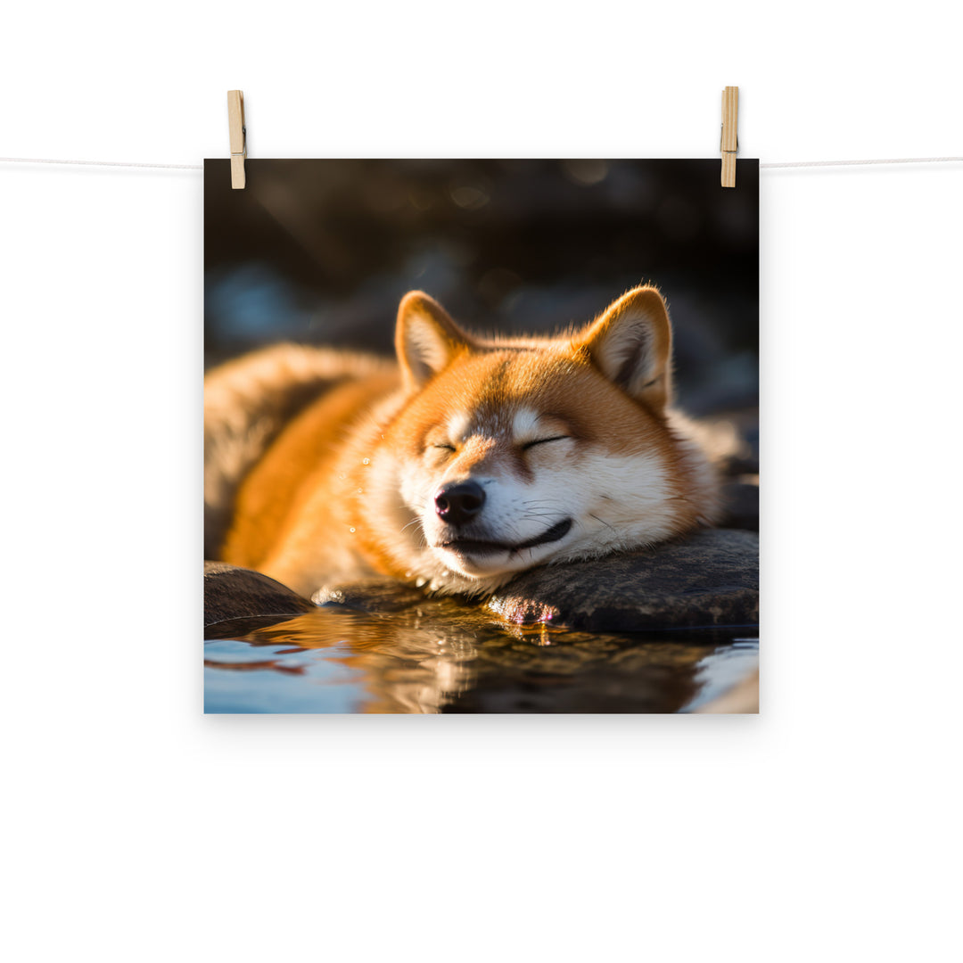 Shiba Inu Photo paper poster - PosterfyAI.com