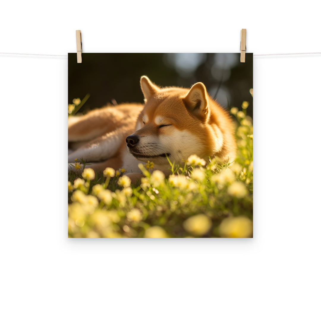 Shiba Inu Photo paper poster - PosterfyAI.com