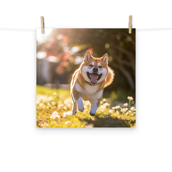 Shiba Inu Photo paper poster - PosterfyAI.com